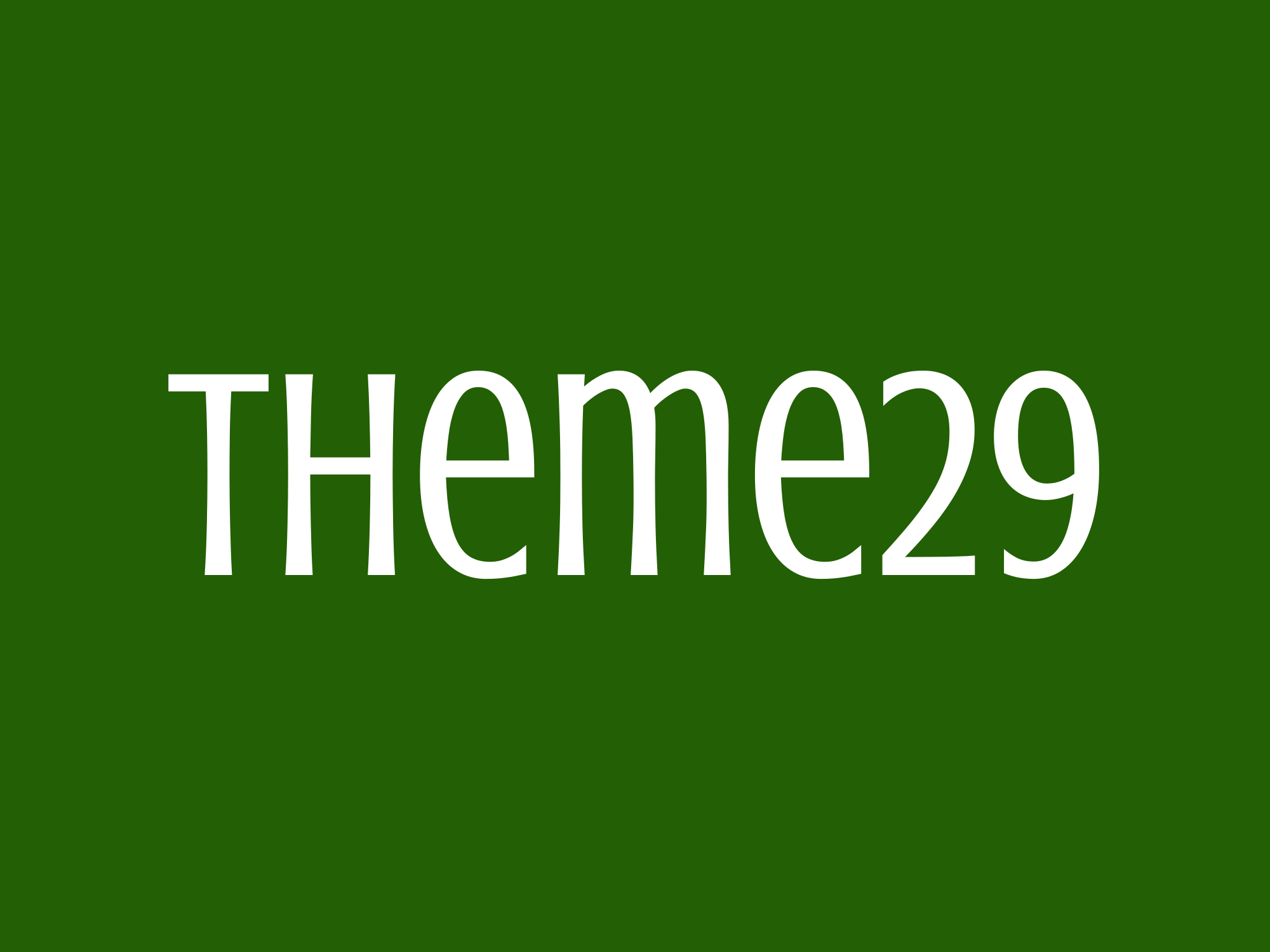 Theme29- Software Company